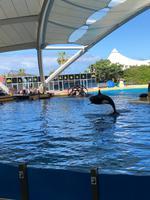 Loro Parque
