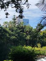 Hotel vom Loro Parque aus