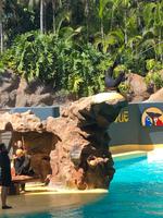 Loro Parque