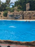 Loro Parque