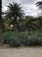 Stadtpark Santa Cruz