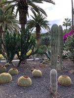 Stadtpark Santa Cruz