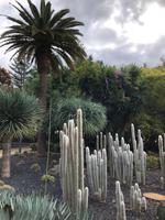 Stadtpark Santa Cruz