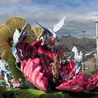 Carneval in Santa Cruz