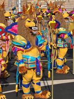 Carneval in Santa Cruz