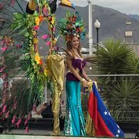 Carneval in Santa Cruz