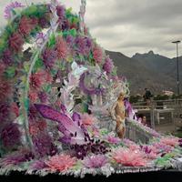 Carneval in Santa Cruz