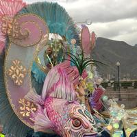 Carneval in Santa Cruz