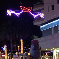 Begräbnis der Sardine