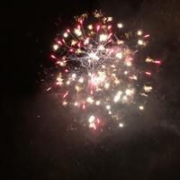 Begräbnis der Sardine