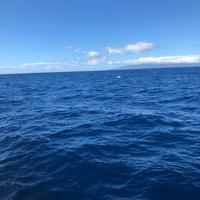 La Gomera im Hintergrund