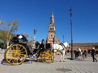 Spaziergang durch den Plaza España in Sevilla