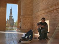 Spaziergang durch den Plaza España in Sevilla