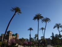 Spaziergang durch den Maria Luisa Park zum Plaza España in Sevilla