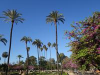 Spaziergang durch den Maria Luisa Park zum Plaza España in Sevilla