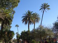 Spaziergang durch den Plaza España in Sevilla (8)