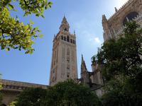  Kathedrale Santa Maria de la Sede mit ihrem bekannten Glockenturm Giralda in Sevilla (13)