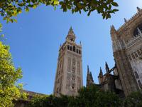  Kathedrale Santa Maria de la Sede mit ihrem bekannten Glockenturm Giralda in Sevilla (1)