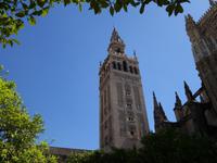  Kathedrale Santa Maria de la Sede mit ihrem bekannten Glockenturm Giralda in Sevilla (8)