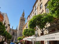  Kathedrale Santa Maria de la Sede mit ihrem bekannten Glockenturm Giralda in Sevilla (12)