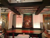 Flamenco Show in Sevilla (1)