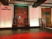 Flamenco Show in Sevilla (2)