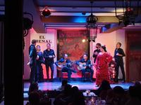 Flamenco Show in Sevilla (5)