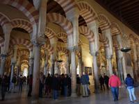 Die berühmte Mezquita, die maurische Moschee der Stadt in Cordoba (3)