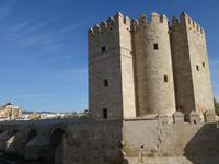 Römische Brücke in Cordoba (3)