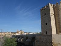 Römische Brücke in Cordoba (4)