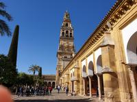 Die berühmte Mezquita, die maurische Moschee der Stadt in Cordoba (9)