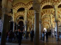 Die berühmte Mezquita, die maurische Moschee der Stadt in Cordoba (5)