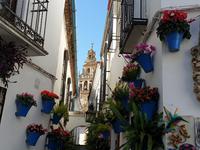 Spaziergang durch Cordoba