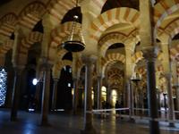 Die berühmte Mezquita, die maurische Moschee der Stadt in Cordoba (15)