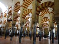 Die berühmte Mezquita, die maurische Moschee der Stadt in Cordoba (34)