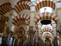 Die berühmte Mezquita, die maurische Moschee der Stadt in Cordoba (35)