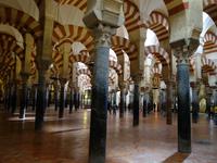 Die berühmte Mezquita, die maurische Moschee der Stadt in Cordoba (37)