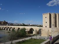 Römische Brücke in Cordoba (8)