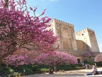 Besichtigung der Alhambra, die Mauren-Hochburg in Granada (5)