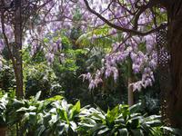 Botanische Garten La Concepcion in Malaga (2)
