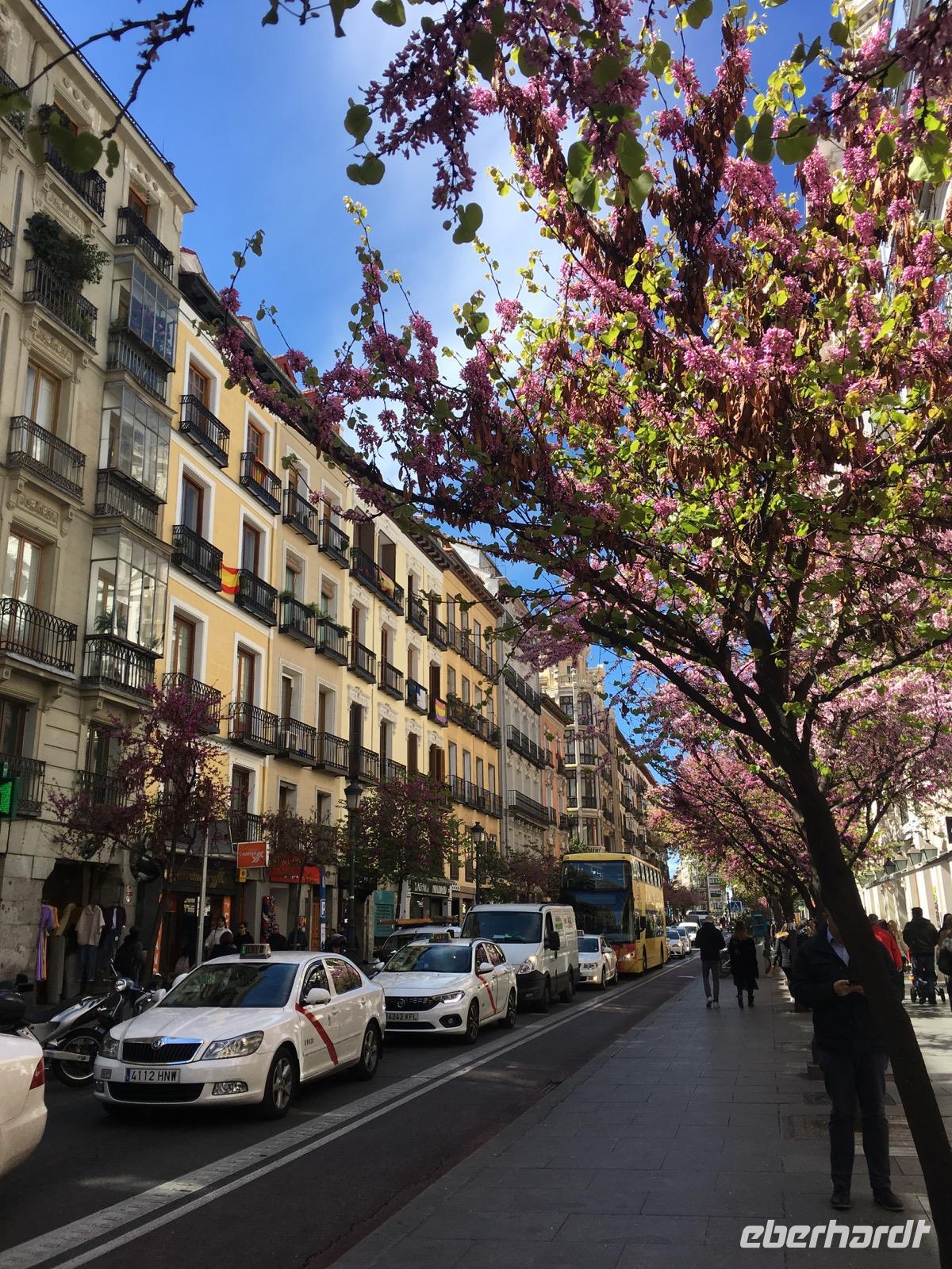 Frühlingsbeginn in Madrid