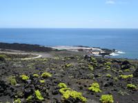 Salinas de Fuencaliente