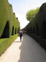 Granada, Gärten der Alhambra 