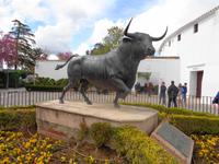 Ronda, Monumento al toro neben der Stierkampfarena 