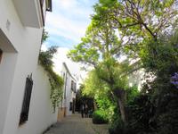 Ronda, maurische Altstadt 