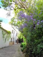 Ronda, maurische Altstadt 