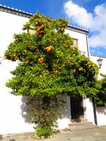 Ronda, maurische Altstadt 