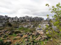Naturpark El Torcal de Antequera