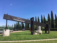 Bodega Torres