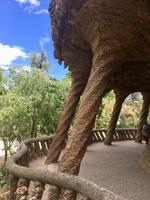 Sa¨ulen im Parc Gu¨ell